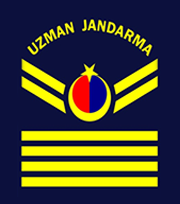 Uzman Jandarma IV. Kademeli Çavuş